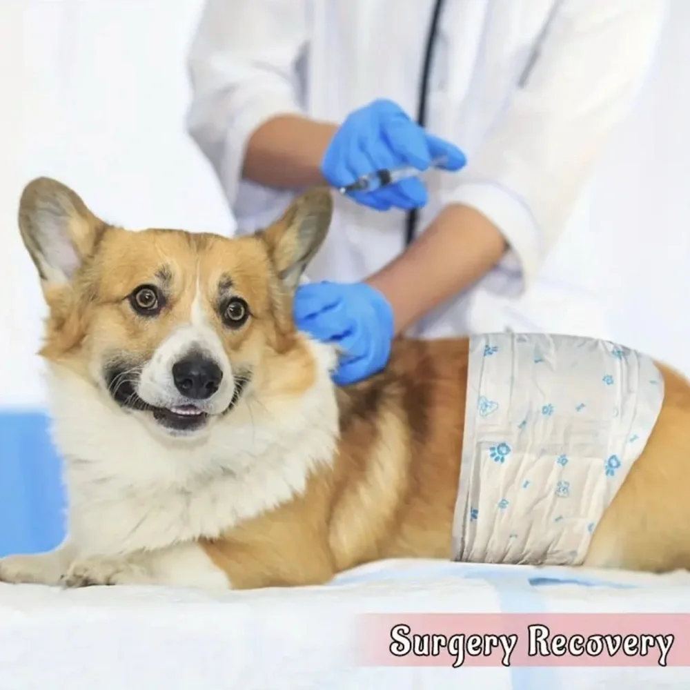 Size Small Female Dog Diapers